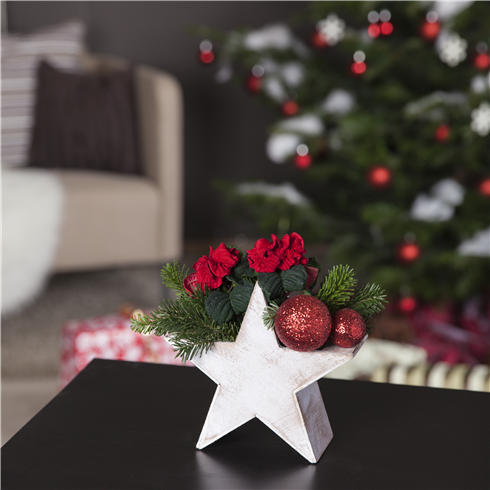 Weihnachtsdeko mit Stern Weihnachtsdeko mit Stern