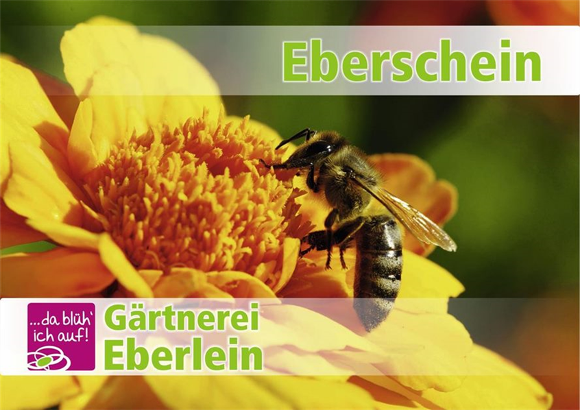 Eberlein_02. Eberschein_A4.jpg