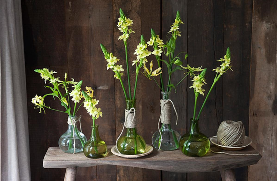 Blumendekoration leicht gemacht