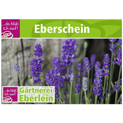 Motiv 5 - Geschenkgutschein