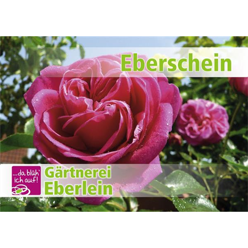 Motiv 1 - Geschenkgutschein