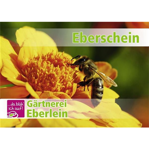 Motiv 2 - Geschenkgutschein