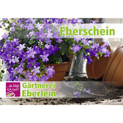 Motiv 3 - Geschenkgutschein