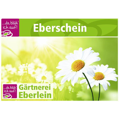 Motiv 6 - Geschenkgutschein