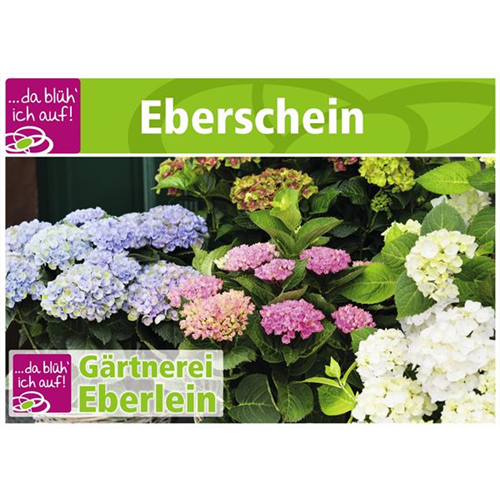 Motiv 7 - Geschenkgutschein