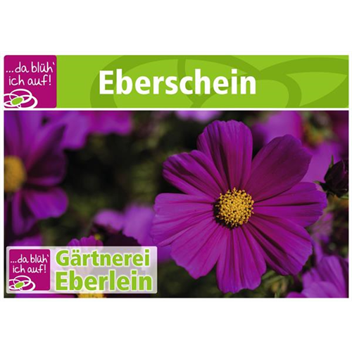 Motiv 8 - Geschenkgutschein