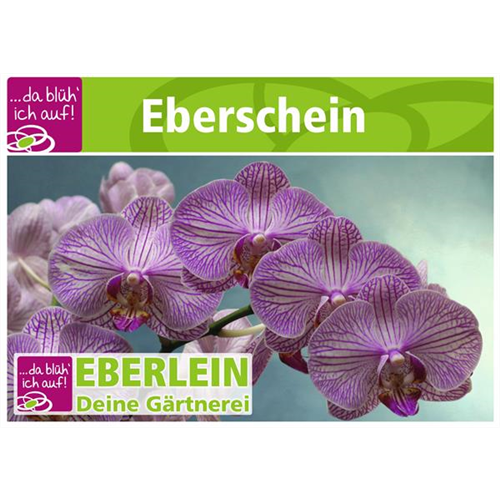 Motiv 10 - Geschenkgutschein