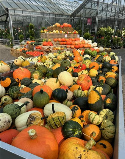 Herbst Late Night Shopping