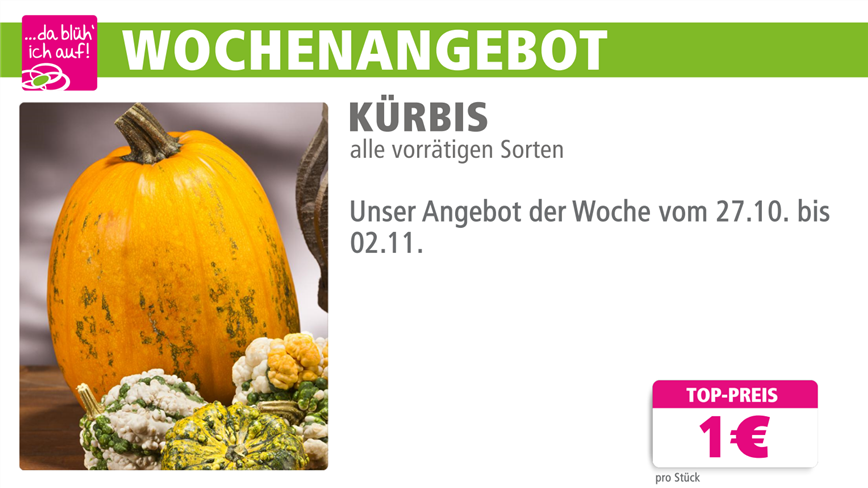 Kürbis online.png Kürbis online.png