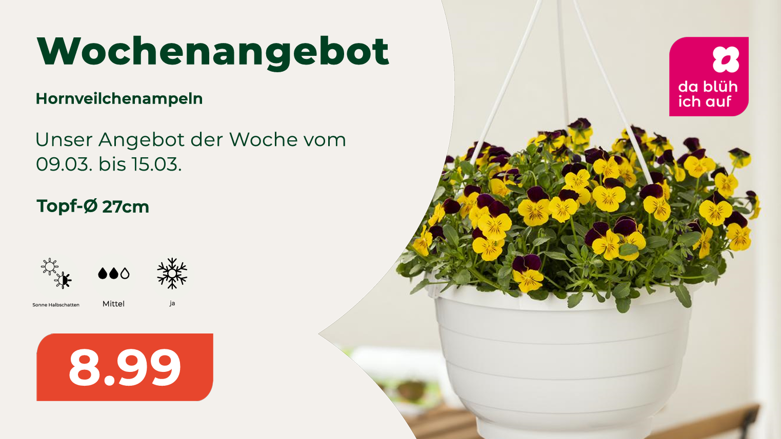 viola ampeln online.png