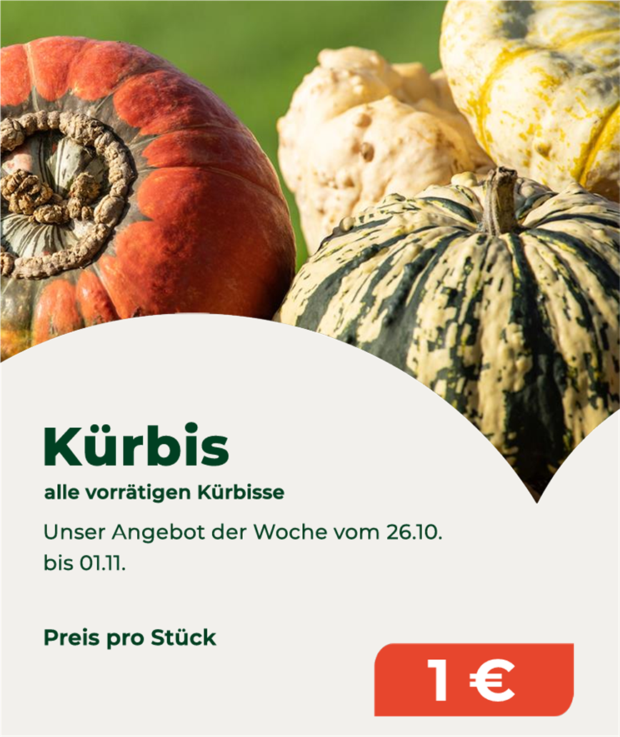 Kürbis.png